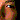 fRGb