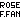 fRGbROSEFANFAN