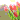 fRGb