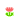 fRGb