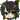 �f�R���G�����b���c �C�t��