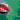 fRGb