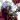 �f�R���G�����b�Γc�O���Q
