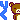 �f�R���G�����b�肭